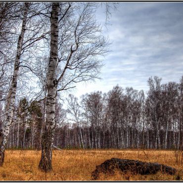 При разъезде Лосиха