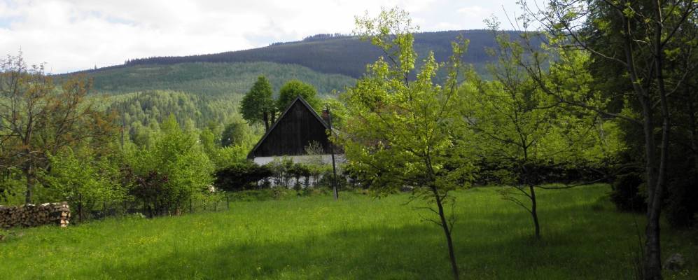 
            Фотография Broniów