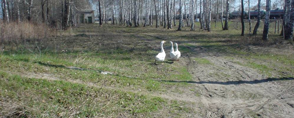 
            Фотография Никольского