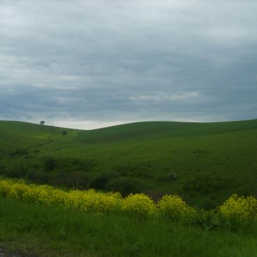 Алексеевка