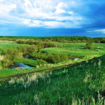 Село казаковское свердловская область. Деревня Непеина Талицкого района Свердловской области. Язовка Курганская область. Д Васенина Талицкий район. Деревня Язовка.