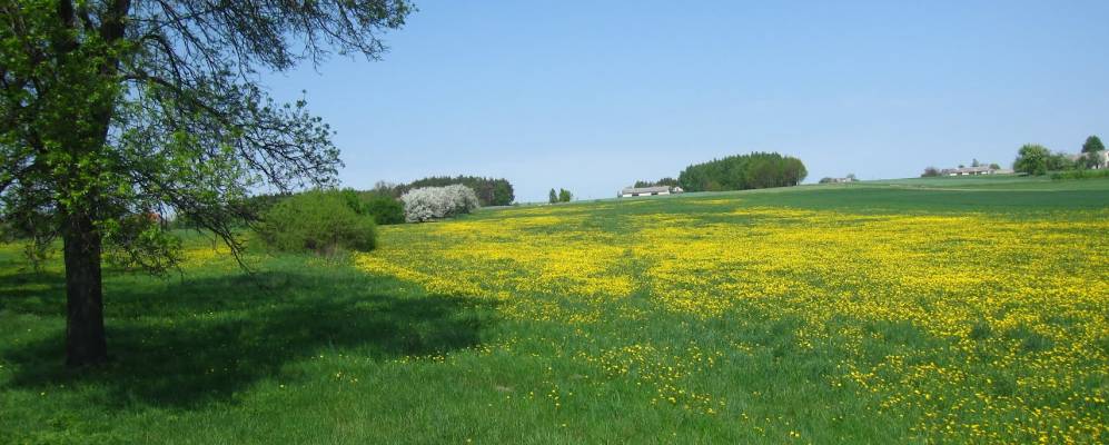 
            Фотография Trojanów