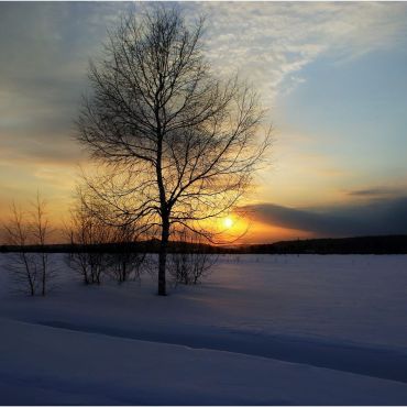 Краснознаменка