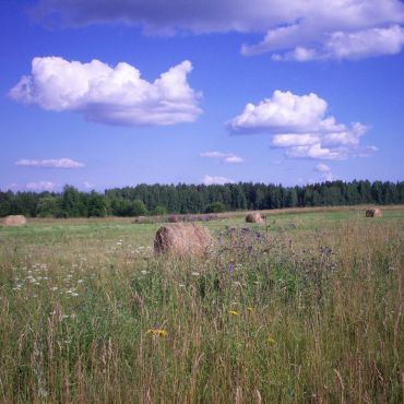 Большая Пестеровщина