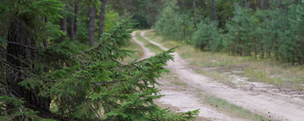 
            Фотография деревни Вилы