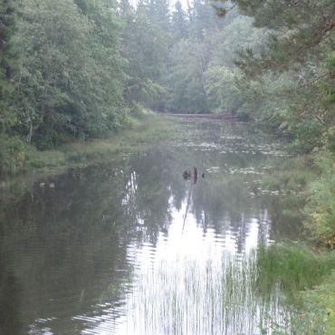 Пионерский