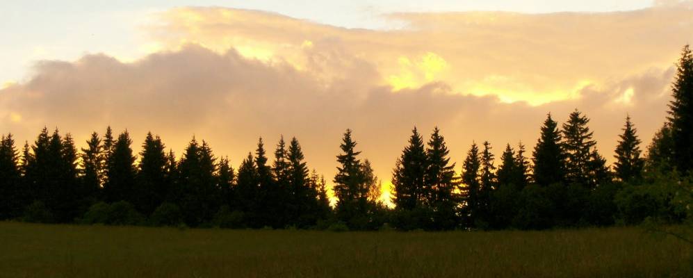 
            Фотография Bukovina