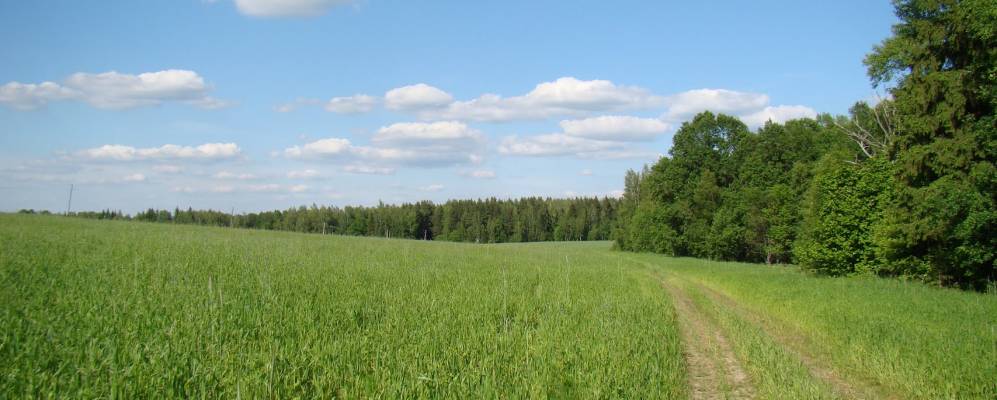 
            Фотография Лунинки