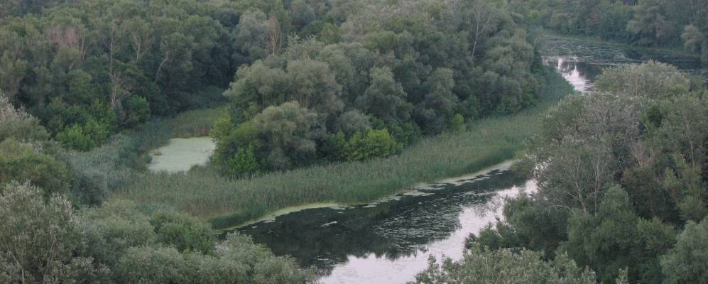 
            Фотография Правобережной Соколки