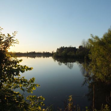 Рождественский