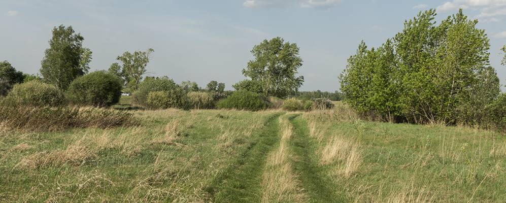 
            Фотография Березовки