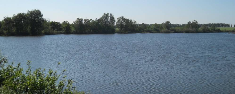 Поселок победа. Село Песчаное Петровского района Тамбовской области. Деревня Павловка Тамбовская область. Совхоз Первомайский Петровского района Тамбовской области. Тамбовская область Петровский район село светлое озеро.