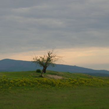 Нижние Куларки