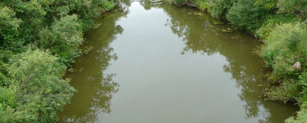 Село альняш пермский край. Деревня Гарюшки Пермский край. Альняш Куединский район Пермский край. Деревня Альняш Куединского района. Пермский край Куединский район деревня Альняш.