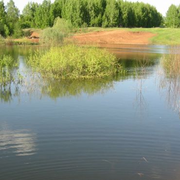 Старогусево