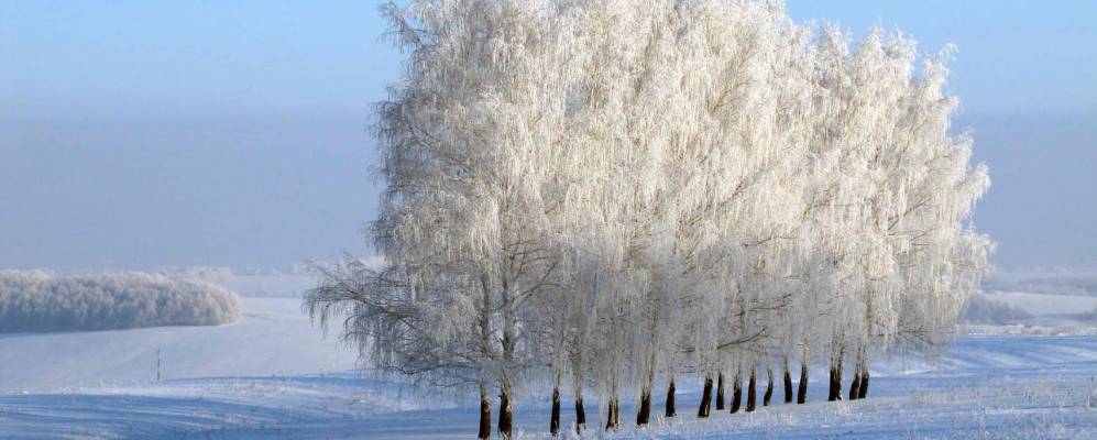 
            Фотография Нового Шигалеево