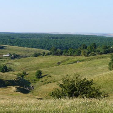 Старцево