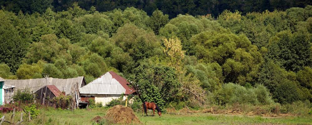 Деревня нижняя. Курская область Горшеченский район село средние Апочки. Деревня верхняя Клещенка Курская область. Белгородка Курская область. Село средние Апочки Курской обл.