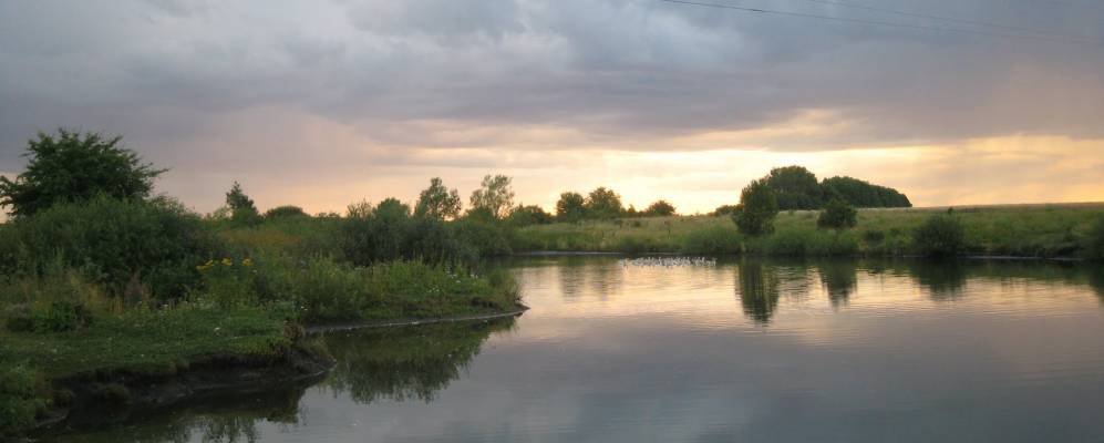 
            Фотография Расховеца