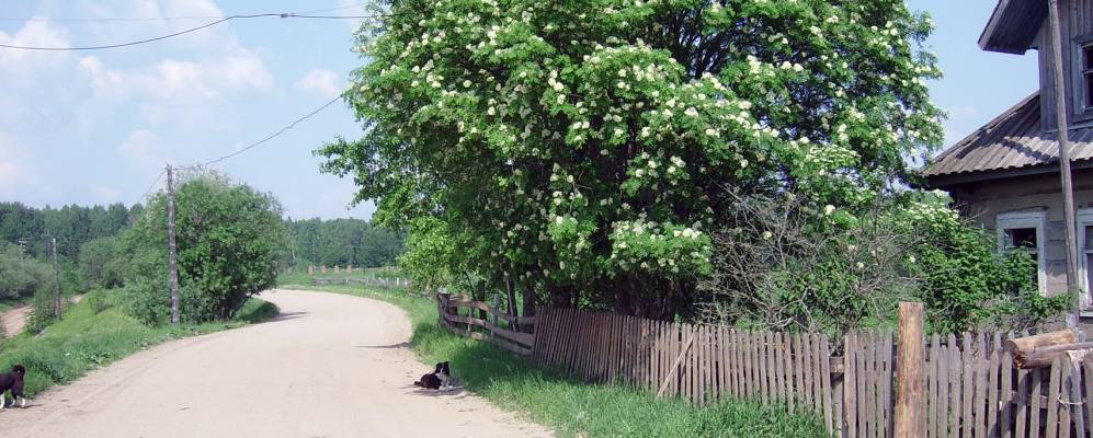 
            Фотография Заимки