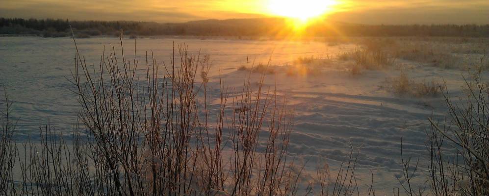 
            Фотография Городища