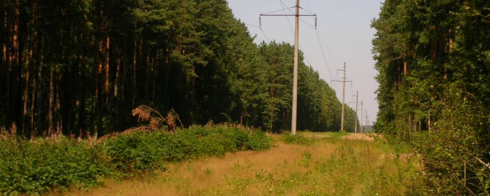 
            Фотография деревни Паледи