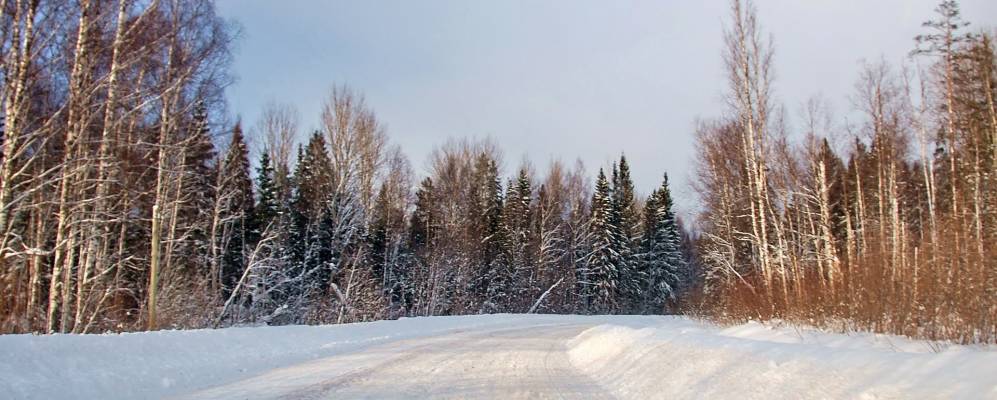 
            Фотография Раменья