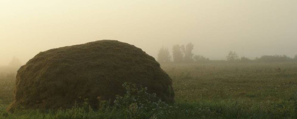 
            Фотография Закроевщины