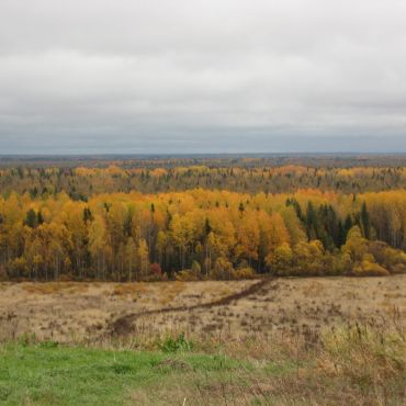 Половинкино