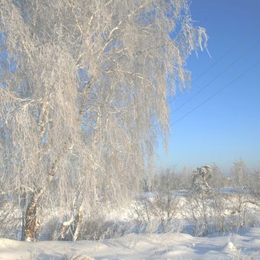 Луговской