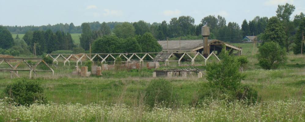 
            Фотография Старых Екимовичей