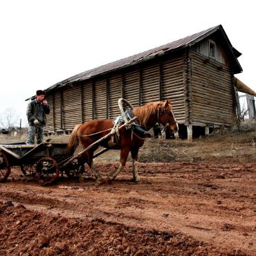 Лекаревка