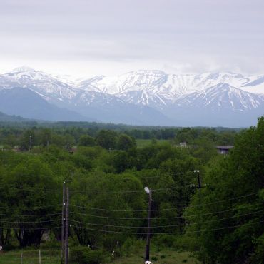 Сосновка