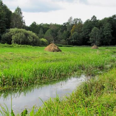 Ромейки