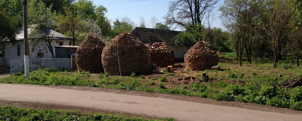 
            Фотография Червоного