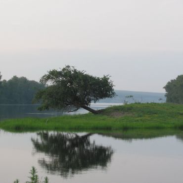 Ястребовка