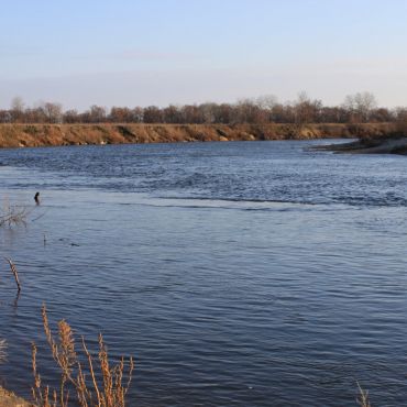 Пекарев