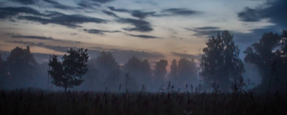 
            Фотография Палкино