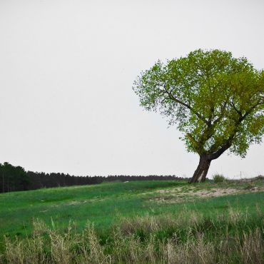 Бурановка