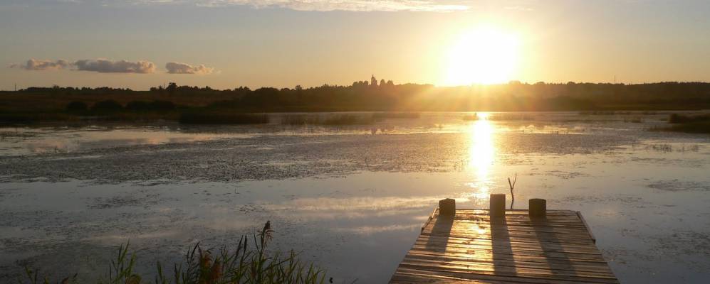 
            Фотография Городища