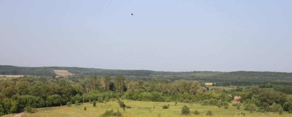 Село холодное. Село Песчаное Сумская область. Сумская область Недригайловский район село Козельное. Сумская область Недригайловский район село Камышенка. Украина Сумская область село Песчаное школа адрес фото.