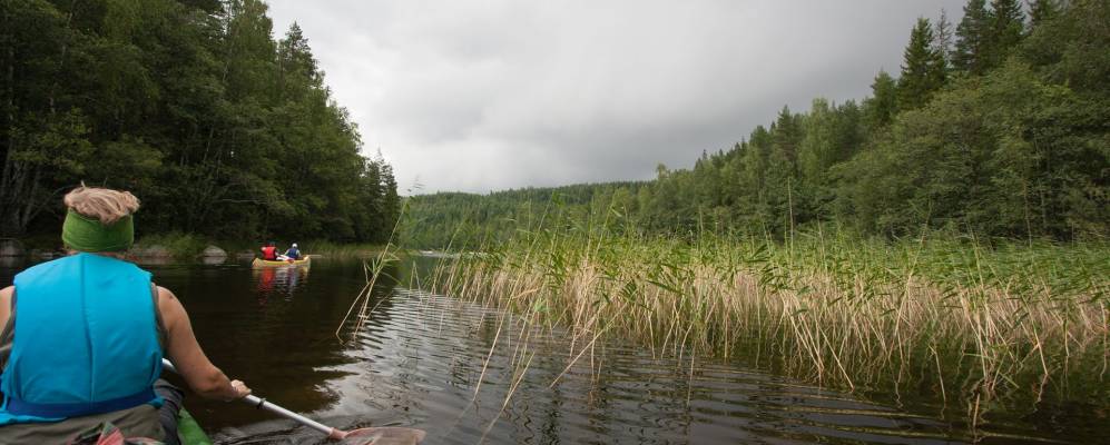 
            Фотография Ihamaniemi