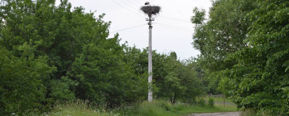 
            Фотография Поступели