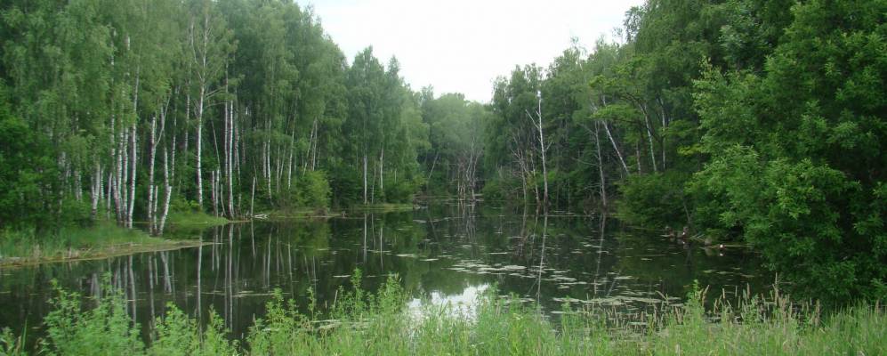 Венюково заокский. Венюково Заокский район Тульской. Деревня Венюково. Деревня Венюково Тульской области. Венюково Чеховский район.