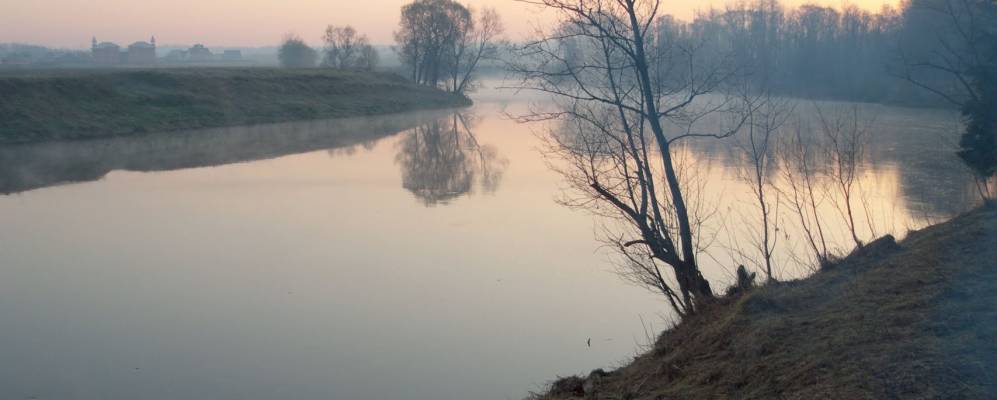 
            Фотография Тимофеево