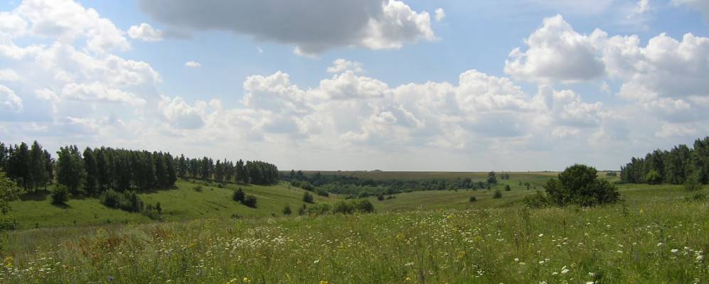 
            Фотография Весёлой Рощи