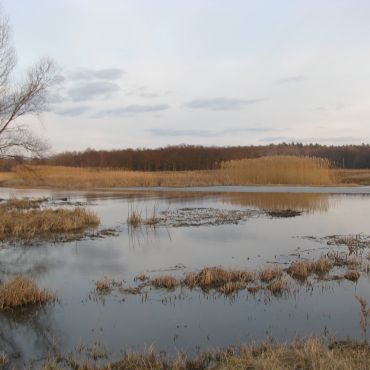 Петровское