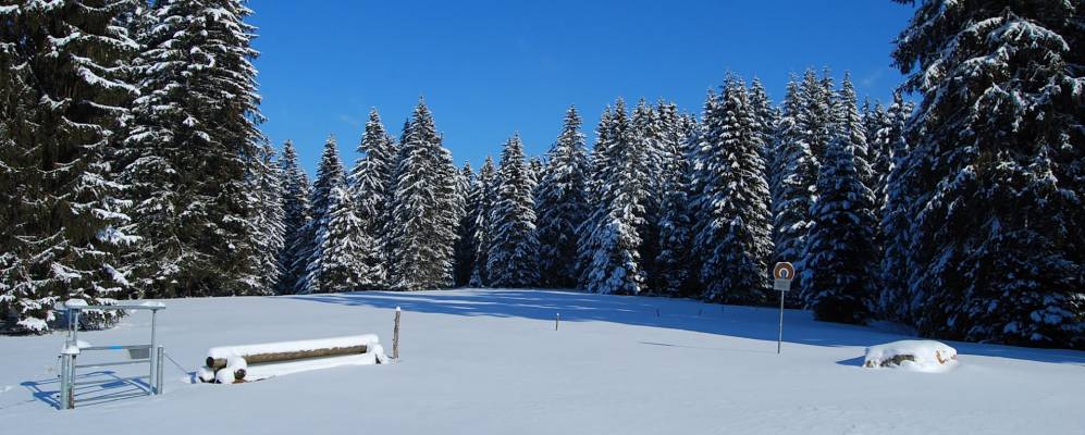 
            Фотография Les Breuleux