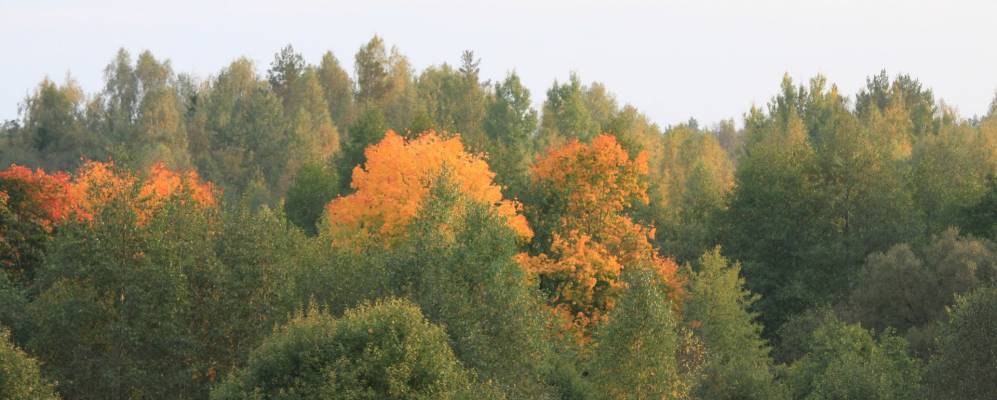 
            Фотография агрогородка Скрабатуны