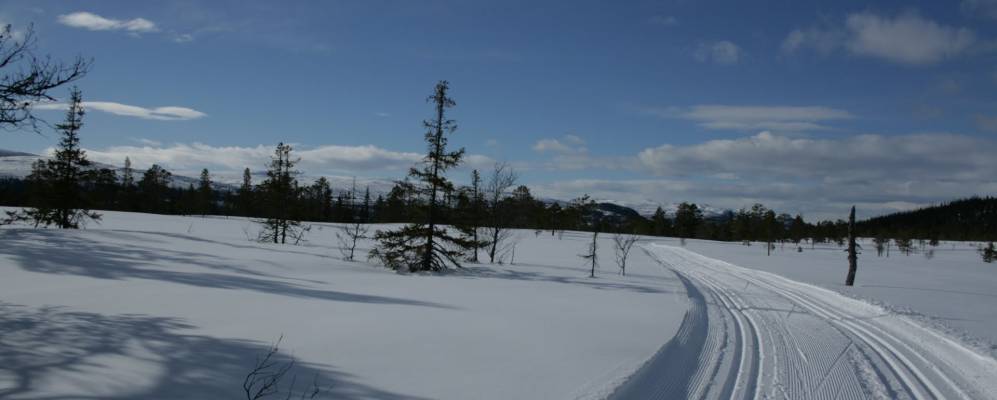 
            Фотография Haltdalen